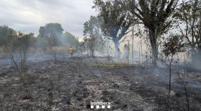 Un vehicle incendiat crema 150 metres quadrats de vegetació a Figueres