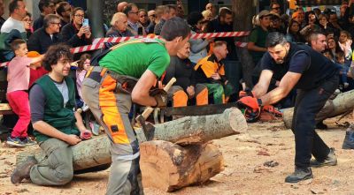 Sant Hilari Sacalm acull la 9a Fira Guilleries amb la 54a Tallada de Troncs
