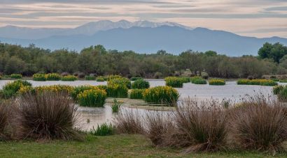 La Generalitat impulsa el Parc Natural de l’Albera i ampliarà els Aiguamolls