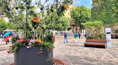 El jutjat avala el català en un contracte del Girona Temps de Flors