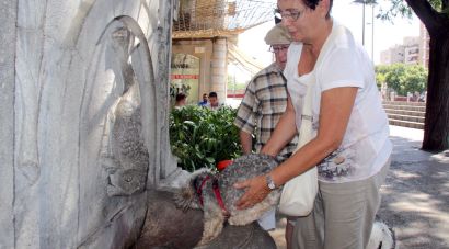 Protecció Civil manté l’alerta per calor intensa fins divendres al matí
