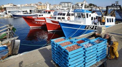 Els pescadors de Palamós reclamen es revisin les restriccions de pesca de la gamba