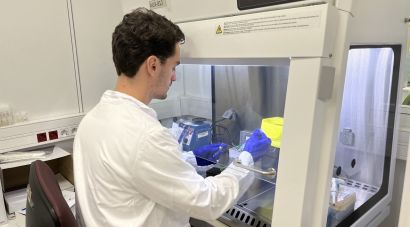 Girona ja fa proves per detectar malalties com el dengue, el zika, el chikungunya i la febre del Nil