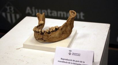 La mandíbula de Banyoles s’exposarà per primera vegada al públic al Museu Arqueològic