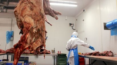 Els majoristes de senglar veuen la situació ''insostenible'' amb tones de carn sense sortida