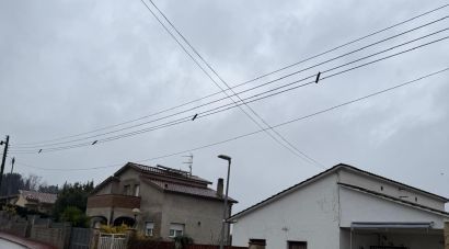 Riells i Viabrea carrega contra Endesa per les incidències elèctriques després del temporal