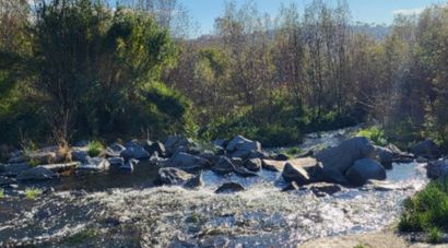 L'ACA impulsa un projecte per restaurar un tram de la Tordera a Fogars de la Selva
