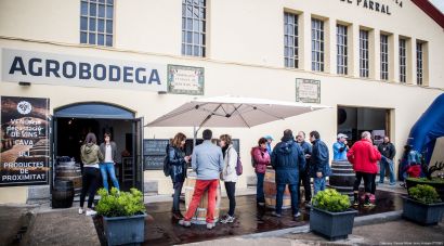 El Vívid 2026 aposta per un enoturisme actiu i saludable amb setanta activitats