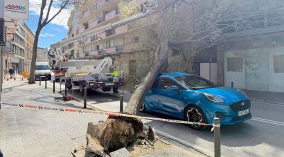 El temporal de vent deixa més de 1.300 trucades al 112