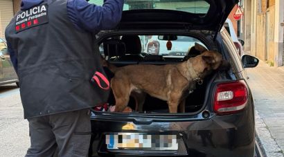 Un dispositiu policial a Figueres acaba amb denúncies per armes i drogues