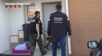 Desarticulada una xarxa vinculada a la Camorra que distribuïa bitllets falsos a Girona