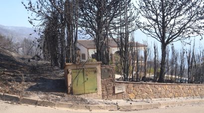 Illa anuncia que el flanc dret de l’incendi de la Bisbal ja ha quedat estabilitzat