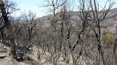 L’alcalde de Cruïlles critica el confinament de tot el municipi per l’incendi de les Gavarres