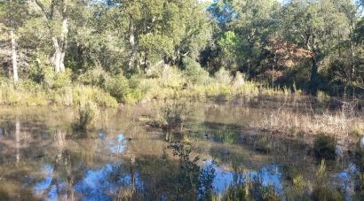 El Consorci de les Gavarres compra una finca de 70 hectàrees d’alt valor natural a Llagostera