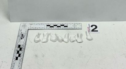 Detingut a Ripoll per tràfic de drogues i falsificació de moneda