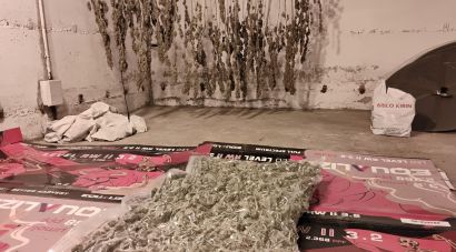 Vuit detinguts per dues plantacions de marihuana localitzades a Vidreres i Riudarenes