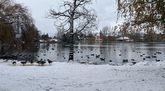 La neu tenyeix de blanc el paisatge de la Cerdanya i deixa 5 centímetres a Puigcerdà