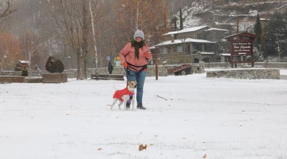 La nevada enfarina el Ripollès i en punts alts com Setcases i Molló deixa més de 3 centímetres