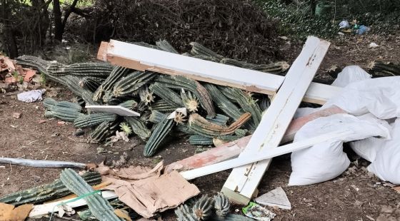 Denunciat un paleta per un abocament il·legal en un bosc de Fornells de la Selva