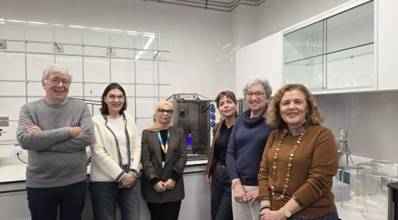 Una recerca de la UdG desenvolupa un nou sistema per eliminar micropol·lutants de l’aigua