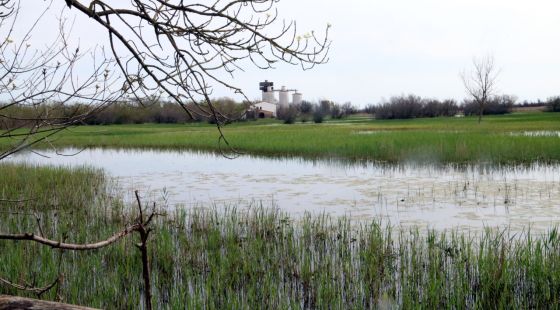 Els Aiguamolls construeixen un cargol d’Arquimedes per garantir l’aigua als estanys del Matà