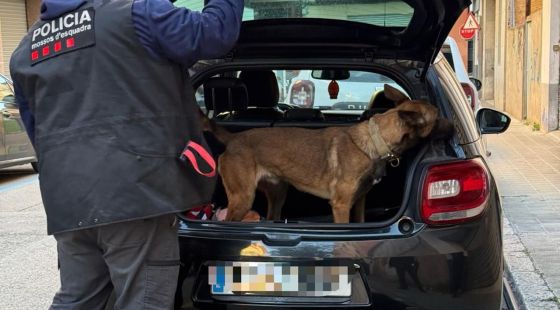 Un dispositiu policial a Figueres acaba amb denúncies per armes i drogues