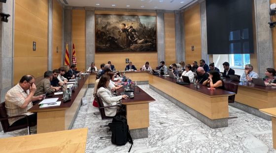 La Diputació reclama aturar el PLATER i replantejar-lo amb més participació territorial