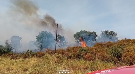 Una desena de dotacions dels Bombers treballen per apagar un incendi forestal a Rabós