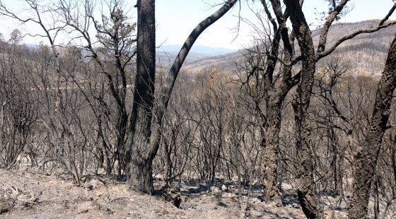 La Generalitat multa amb 300.000 euros l’empresa de l’operari que va originar el foc de les Gavarres