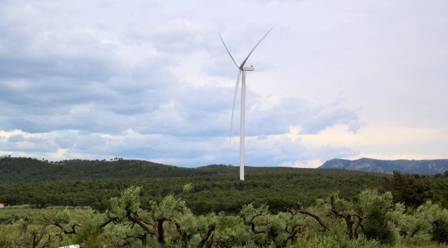 Més de 180 ajuntaments, la majoria gironins, planten cara al PLATER