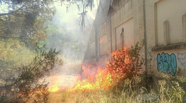 Detingut un home per provocar un incendi a l’antiga panificadora de SAFA a Blanes
