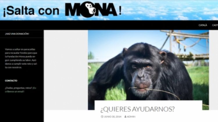 Un dels portals on s'informa de la campanya original i com es pot participar o col·laborar