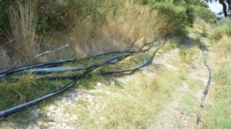 Els delinqüents tallaven el cable del pal i el pelaven enmig del bosc © ACN