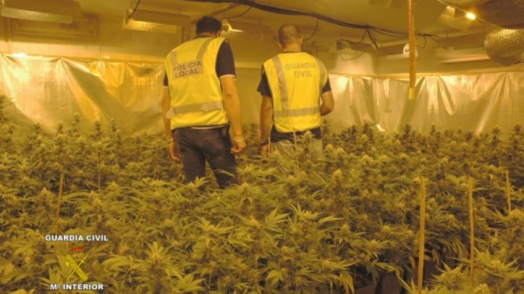 La Guàrdia Civil i la Policia Local inspeccionen el local on han localitzat el cultiu de marihuana