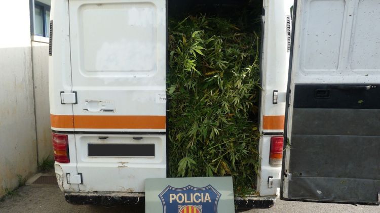 La furgoneta carregada de plantes de marihuana