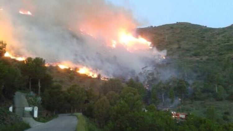 Les flames a peu d'incendi © ADF Alt Empordà