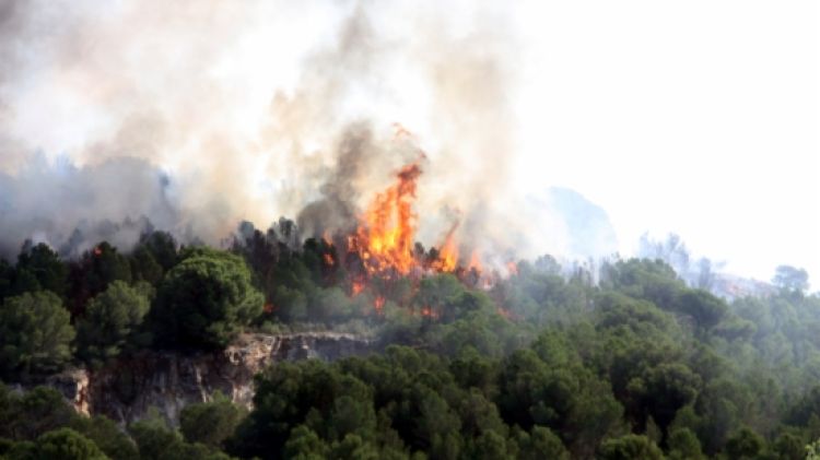 El foc ha calcinat ja 46 hectàrees de vegetació © ACN