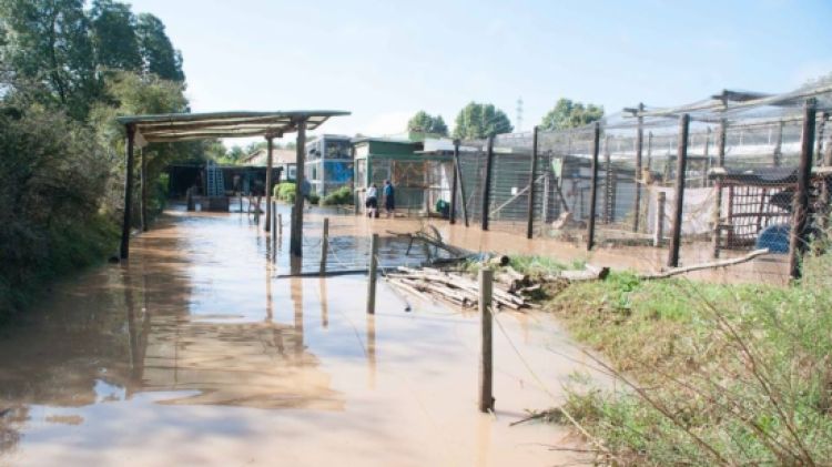 Les fortes pluges van inundar el centre de recuperació de primats © ACN