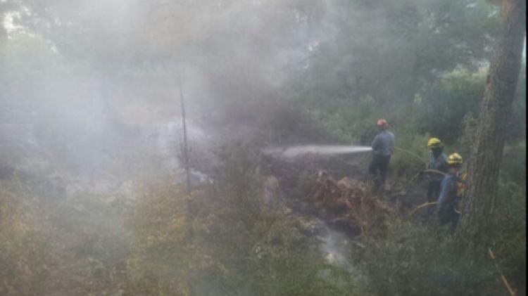 El foc ha cremat una zona boscosa a toca de la platja d'Aiguablava de Begur © ACN