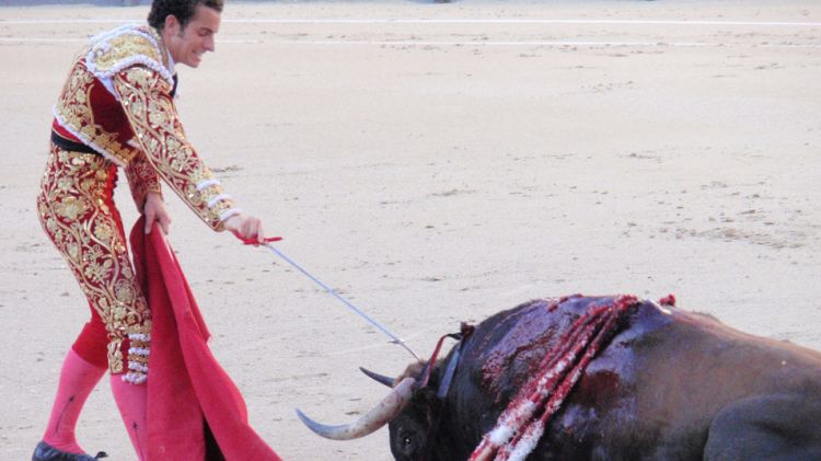 Un toro abatut després de rebre una estocada mortal © Jorge