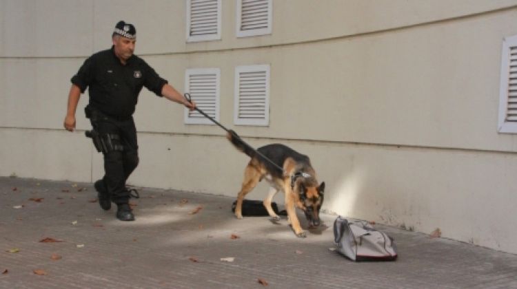 Un dels agents amb en Xicu, un dels pastors alemanys que formen part de la unitat canina © ACN