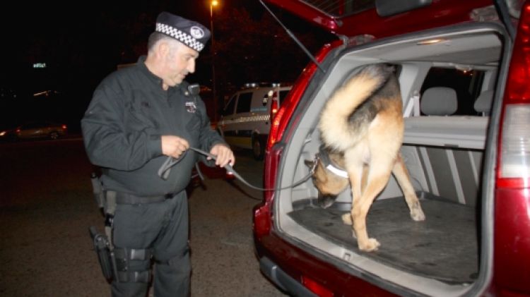 La unitat canina buscant droga en un control a les Fires de Sant Narcís © ACN