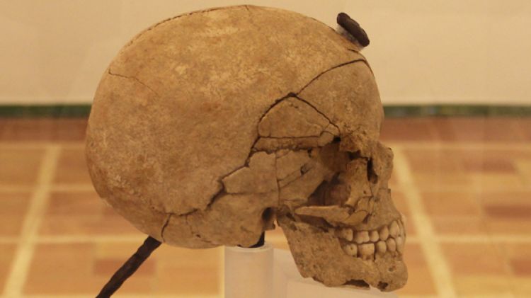Crani enclavat després de la restauració