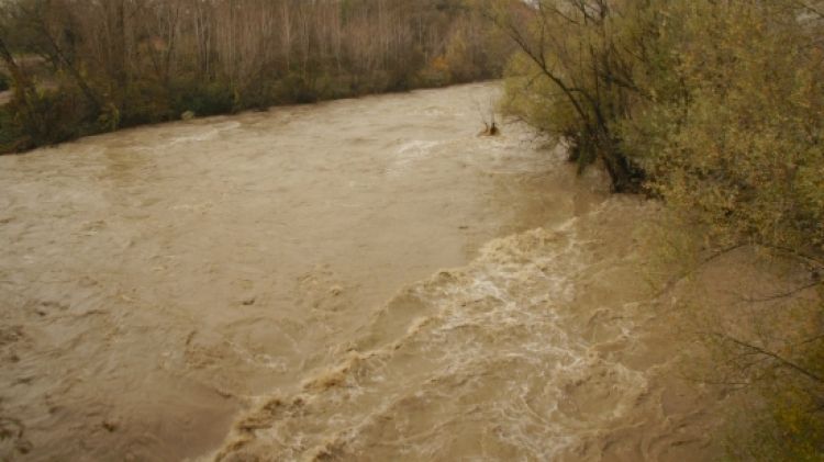 El Ter al seu pas entre Torelló i les Masies de Voltregà, aquest matí © Llorenç Julià