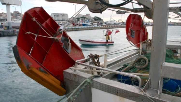 Les portes actual fan un efecte similar al del llaurat en l'agricultura © ACN