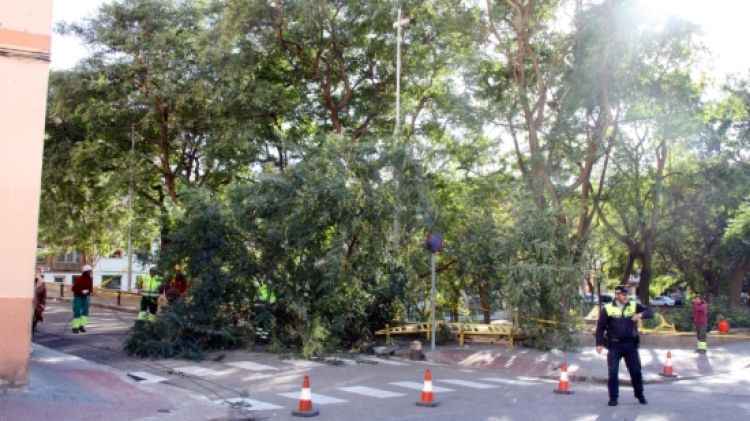 La policia municipal ha tallat els carrers afectats per les caigudes d'arbres a Ripollet © ACN