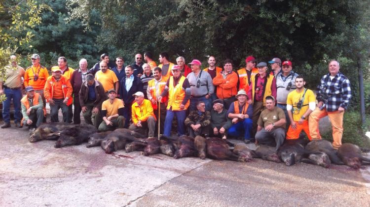 Els caçadors i Agents Rurals amb els porcs senglars abatuts