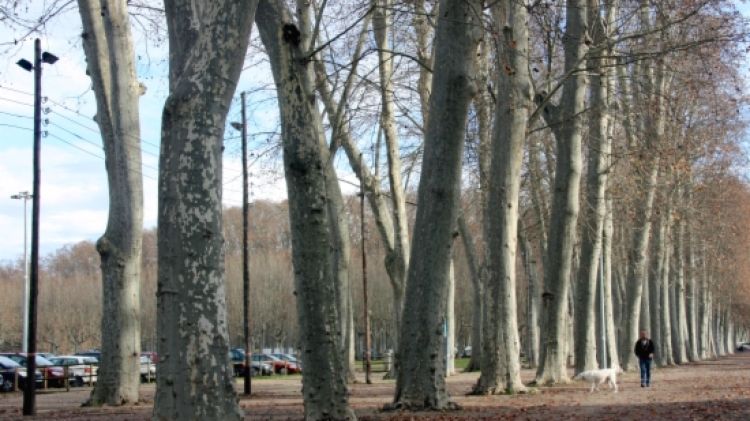 El parc de la Devesa, amb alguns vehicles aparcats al vial (arxiu) © ACN