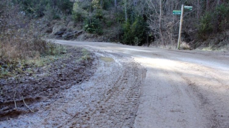 La pista per on els joves es van endinsar al bosc © ACN