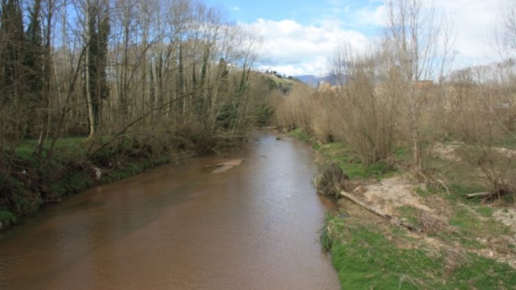 El riu Tordera al seu pas per Massanes © ACN